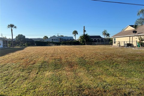 Land in Punta Gorda, Florida № 2162631 - photo 2