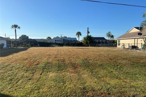 Land in Punta Gorda, Florida № 2162631