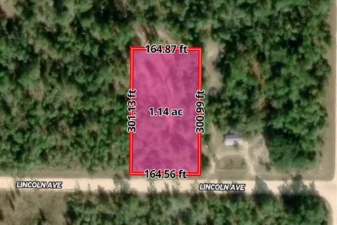 Land in Alford, Florida № 2232152 - photo 3