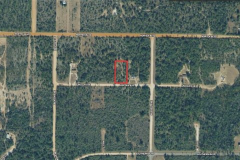 Land in Alford, Florida № 2232152 - photo 2