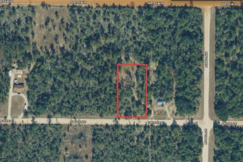 Land in Alford, Florida № 2232152