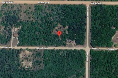 Land in Alford, Florida № 2232152 - photo 5