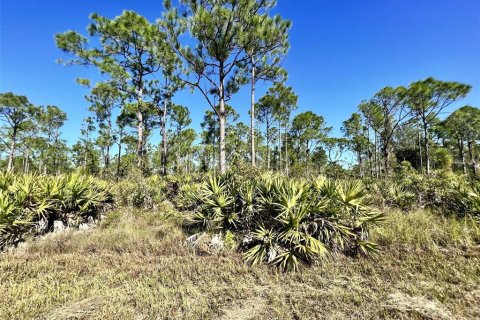 Terrain à Punta Gorda, Floride № 2160109