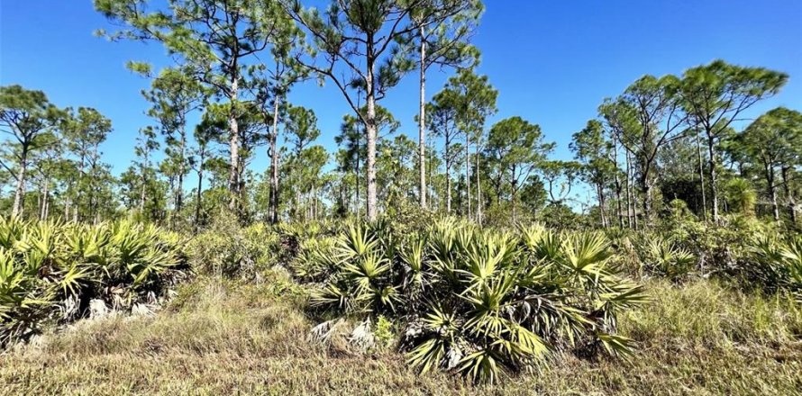 Terrain à Punta Gorda, Floride № 2160109