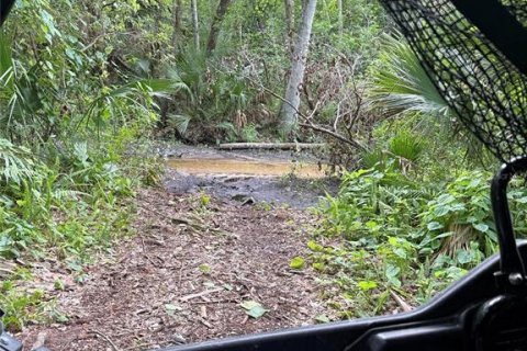 Land in Longwood, Florida № 1908481 - photo 2