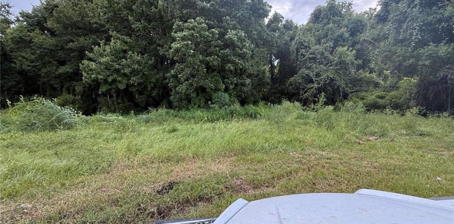 Land in Longwood, Florida № 1908481