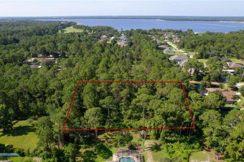 Land in DeBary, Florida № 1841885 - photo 2