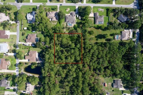 Land in DeBary, Florida № 1841885 - photo 1