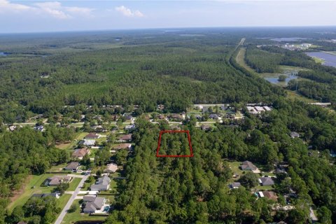 Land in DeBary, Florida № 1841885 - photo 3