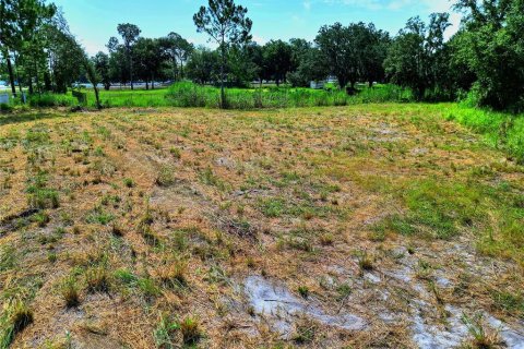 Land in Winter Haven, Florida № 2359202