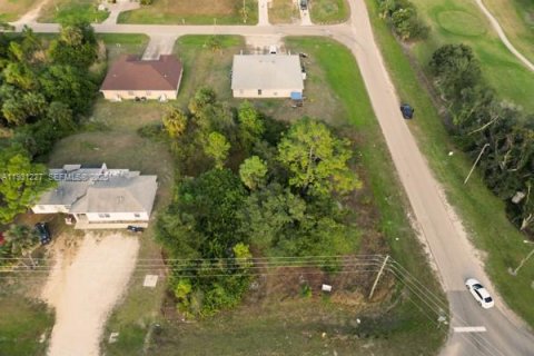 Terrain à vendre à Lehigh Acres, Floride № 1991488 - photo 5