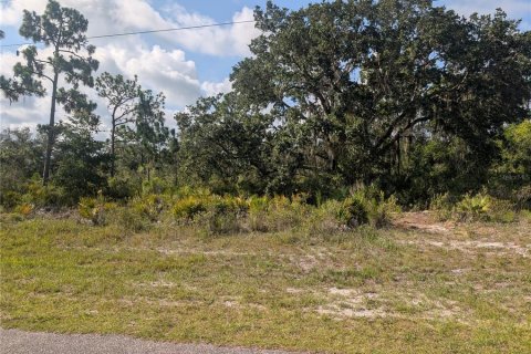 Land in Indian lake estates, Florida № 2258694 - photo 8