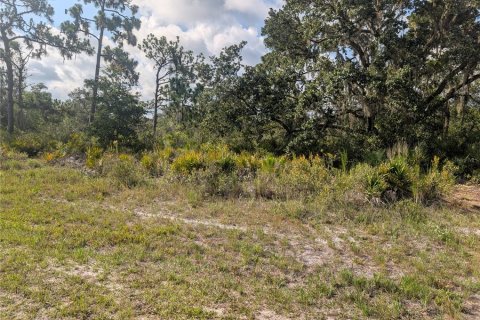 Land in Indian lake estates, Florida № 2258694 - photo 2