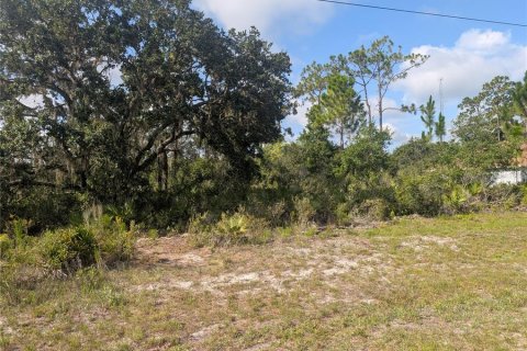Land in Indian lake estates, Florida № 2258694 - photo 7