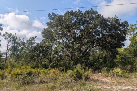 Land in Indian lake estates, Florida № 2258694 - photo 6