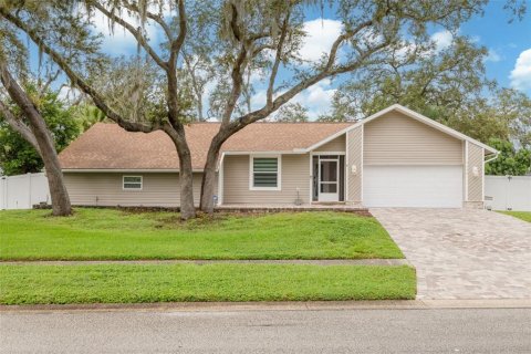 Villa ou maison à vendre à Palm Harbor, Floride: 4 chambres, 191.01 m2 № 1907712 - photo 1