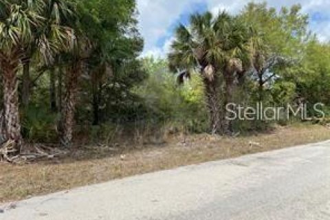 Land in Port Charlotte, Florida № 2161688 - photo 3