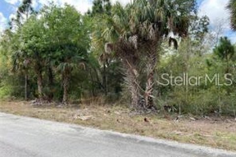 Land in Port Charlotte, Florida № 2161688 - photo 2