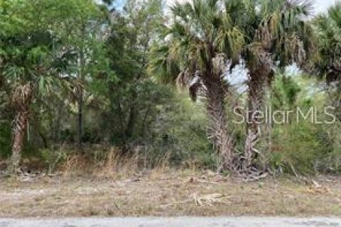 Land in Port Charlotte, Florida № 2161688 - photo 4