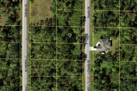 Land in Port Charlotte, Florida № 2160930 - photo 3