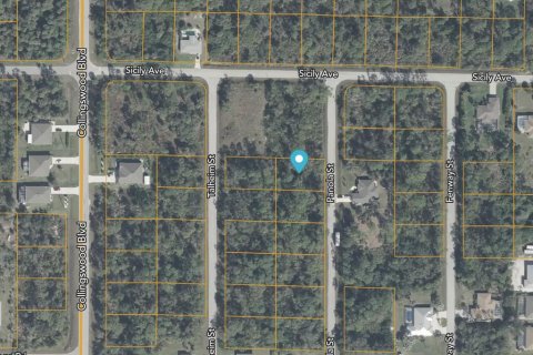 Land in Port Charlotte, Florida № 2160930