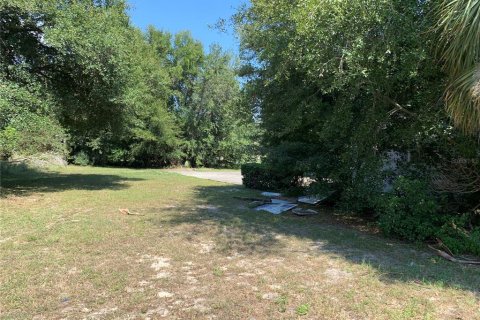 Купить земельный участок в Лисбург, Флорида № 1913866 - фото 11