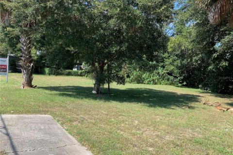 Купить земельный участок в Лисбург, Флорида № 1913866 - фото 10