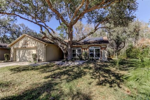 Casa en Oldsmar, Florida 3 dormitorios, 171.31 m2 № 2156150