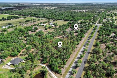 Land in Myakka City, Florida № 2101769 - photo 7