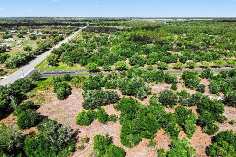 Land in Myakka City, Florida № 2101769 - photo 4