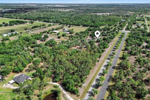 Land in Myakka City, Florida № 2101769 - photo 6