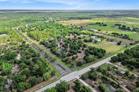 Land in Myakka City, Florida № 2101769 - photo 8