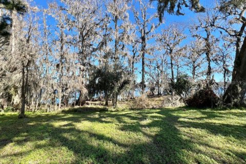 Terreno en venta en Lake City, Florida № 1561822 - foto 5