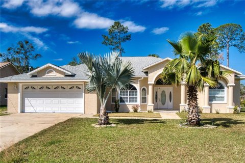 Villa ou maison à vendre à Palm Coast, Floride: 3 chambres, 187.94 m2 № 1521686 - photo 1
