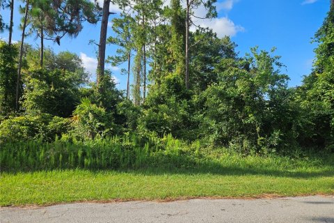 Terreno en Deltona, Florida № 2199545