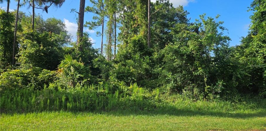 Land in Deltona, Florida № 2199545