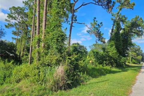 Land in Deltona, Florida № 2199545 - photo 2
