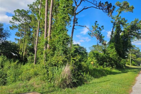 Land in Deltona, Florida № 2199545 - photo 3