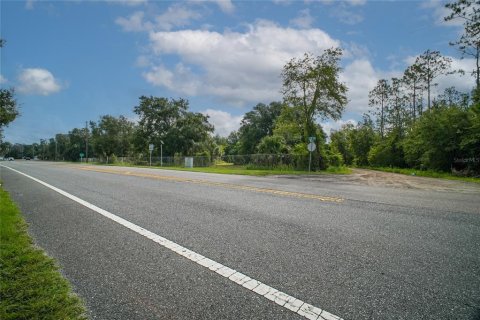 Land in Altoona, Florida № 1901370 - photo 4
