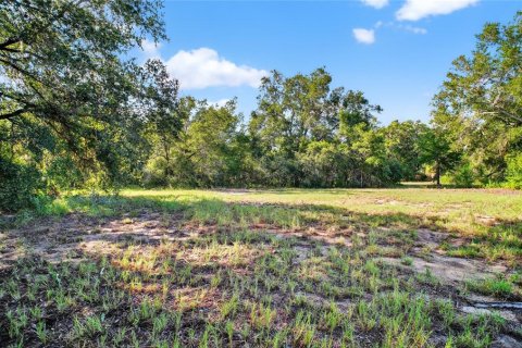 Land in Altoona, Florida № 1901370 - photo 8