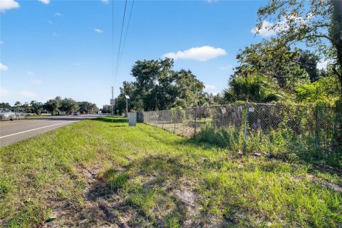 Land in Altoona, Florida № 1901370 - photo 14