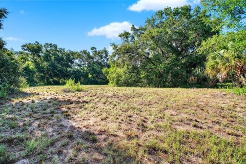 Land in Altoona, Florida № 1901370 - photo 12