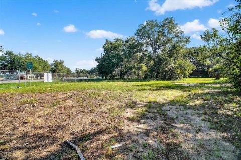 Land in Altoona, Florida № 1901370 - photo 11