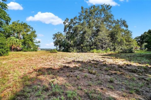 Land in Altoona, Florida № 1901370 - photo 13