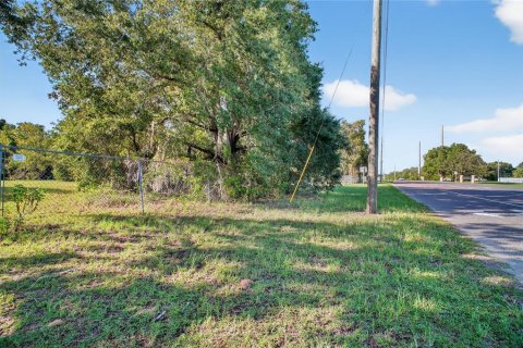 Land in Altoona, Florida № 1901370 - photo 5