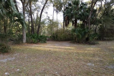 Land in Chiefland, Florida № 2161452