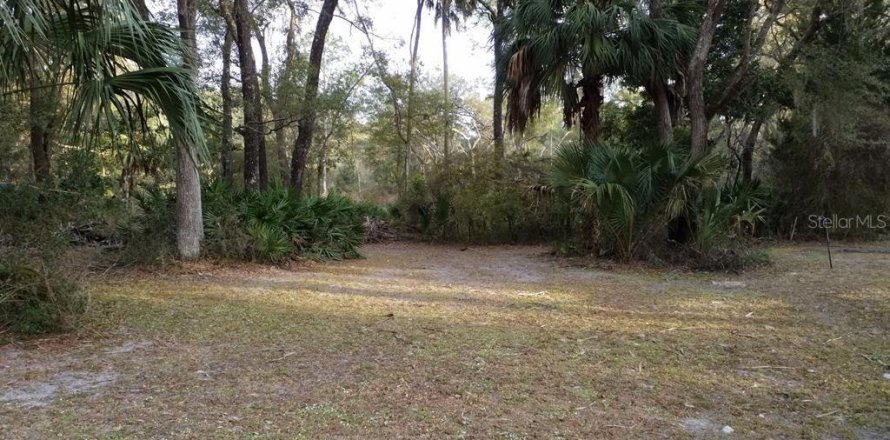 Land in Chiefland, Florida № 2161452