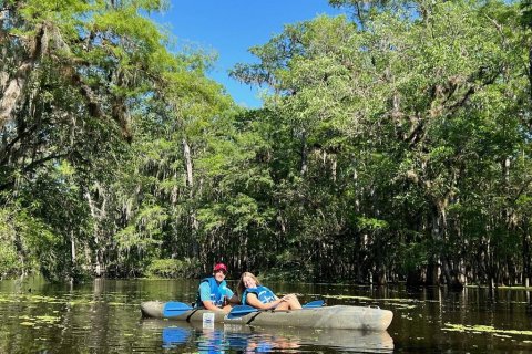 Land in Chiefland, Florida № 2161452 - photo 4