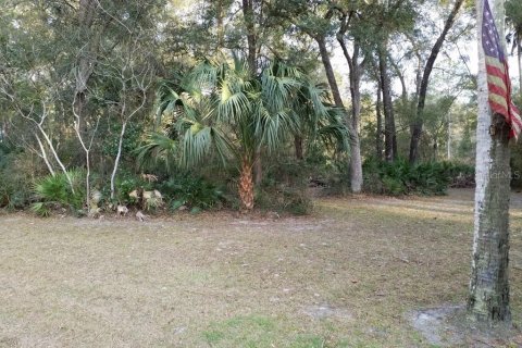 Land in Chiefland, Florida № 2161452 - photo 2