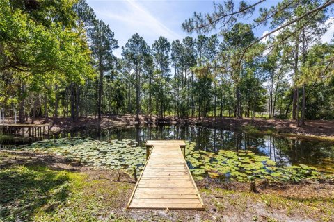 House in Trenton, Florida 3 bedrooms, 121.52 sq.m. № 1793147 - photo 6